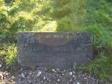 image of grave number 372810
